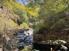 -云岫谷游猎自然风景区