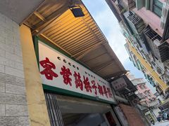 -洪馨椰子
