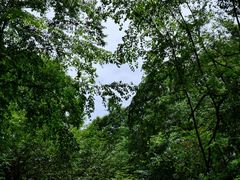 -黔灵山公园