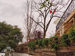 -悦哉·派对·草坪婚礼·围炉煮茶(三圣乡店)
