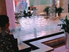 -常州环球恐龙城维景国际大酒店