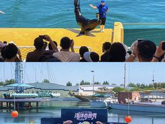 -秦皇岛乐岛海洋王国