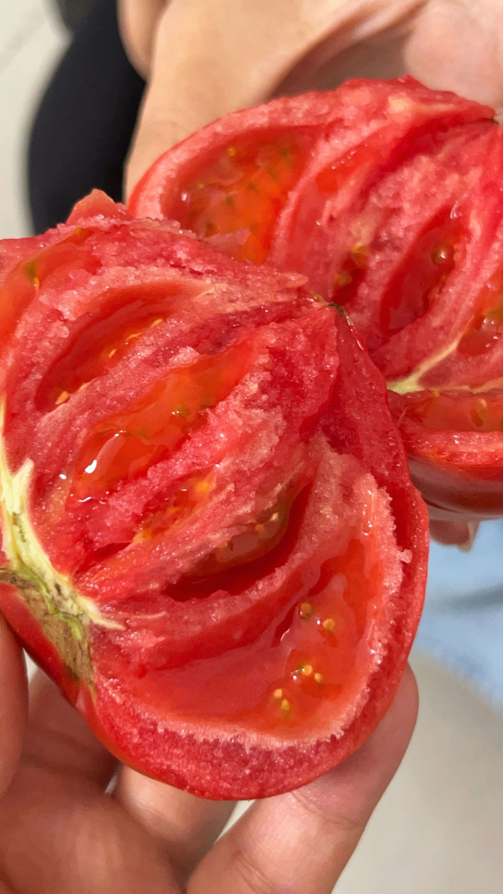 北京沙瓤番茄97