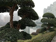 -喷泉公园