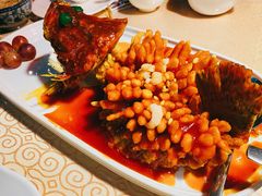 松鼠桂鱼-松鹤楼(月坛店)