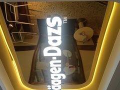 -哈根达斯(武汉天地店)