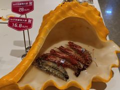 -赶海部落海鲜城(海阳路店)