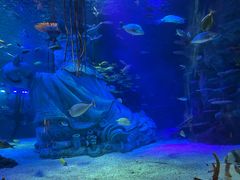 -沈阳海洋探索中心