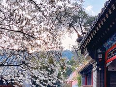 -潭柘寺景区