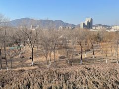 -滨河世纪广场公园