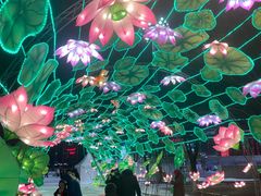 -沈阳奥体冰雪嘉年华