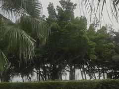 -深圳湾公园(南山区)