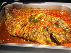 -鱼酷活鱼烤鱼(沈阳大悦城店)