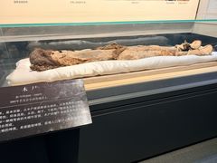 -巴音郭楞蒙古自治州博物馆