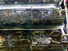 -覃记海鲜美食餐厅