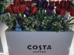-COSTA COFFEE(中粮祥云店)