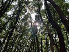 -同里国家湿地公园