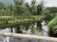-西湖风景区-江洋畈生态公园