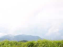 -东天目山风景区