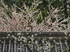 -钱王祠