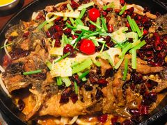 -老板恋上鱼(恒隆广场店)