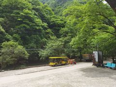 -水墨汀溪风景区