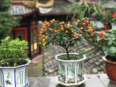 -峨眉山报国寺