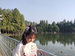 -东湖落雁景区