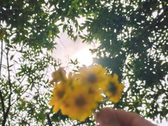 -大夫山顺驰自助烧烤场