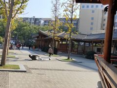 -孺子亭公园