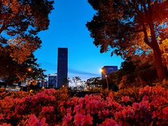 -尚贤河湿地