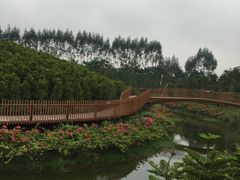 -迪茵湖田家舍生态农场
