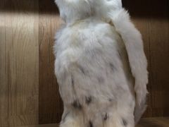 -Galleria百货店名品馆