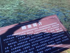 -玉水寨丽江源餐厅