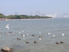 -深圳湾公园(南山区)