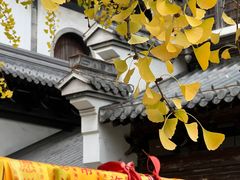 -真如寺