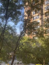 -北京俪婴妇产医院(朝阳大悦城店)