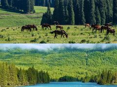 -新疆那拉提国家旅游度假区
