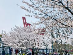 -龙美术馆(西岸馆)