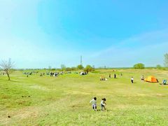 -渭河城市绿地运动公园