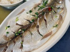 太湖白鱼-太湖好灶头土菜馆(石公路店)