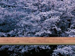 -苏州上方山国家森林公园