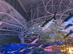 -烟台海昌鲸鲨海洋公园