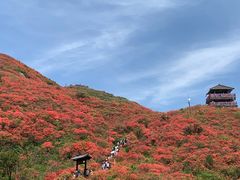 -大围山国家森林公园
