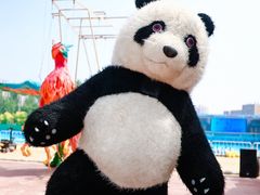 -欢乐水魔方水世界