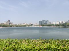 -莲花池公园