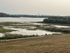 -哈尔滨大剧院