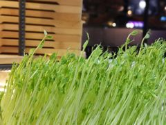 -番食园鲜食火锅(高新店)