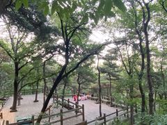 -北京西山国家森林公园