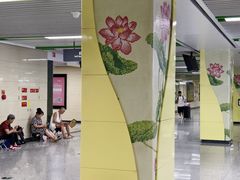 -杨柳河(地铁站)